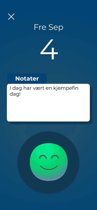 Journalflyten i Eir-prototypen